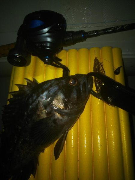 ゴムボートフィッシング