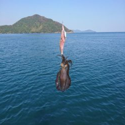 ボートエギング６