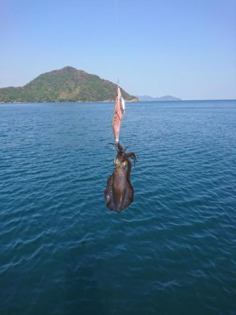 ボートエギング６