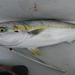 タチパターンジギング