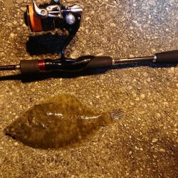 サンキューヌメヌメカレイフィッシュ