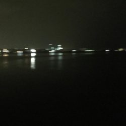 引き釣り最高！