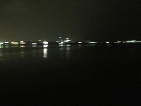 引き釣り最高！