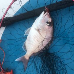 サップフィッシング