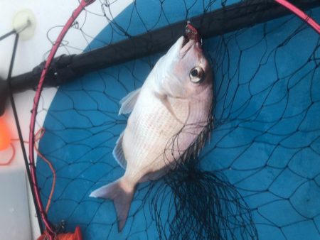 サップフィッシング