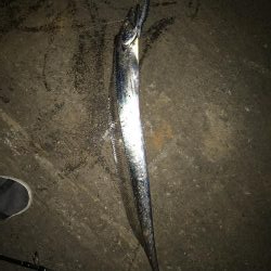 久々の餌釣り
