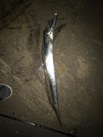 久々の餌釣り