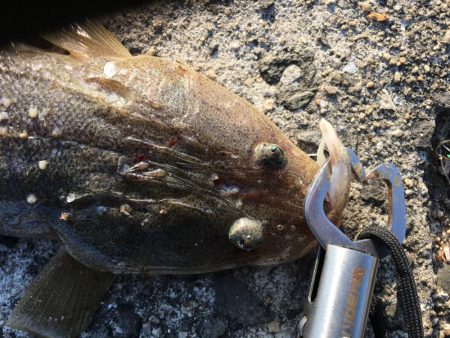 うとうとしてたら釣れました
