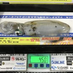 夕まずめの一瞬