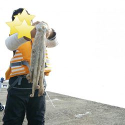 ノマセでタコ!?