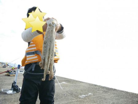 ノマセでタコ!?