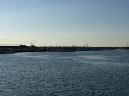 ハゼは裏切らない！