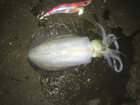 仕事辞めたっす