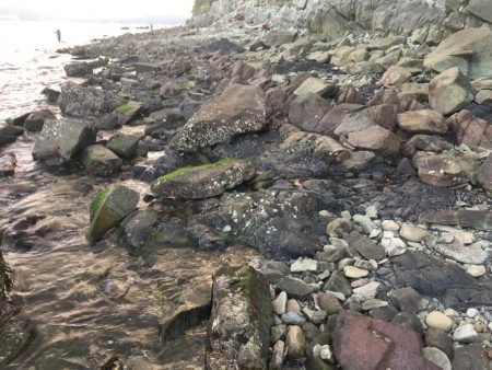 ショアジギング