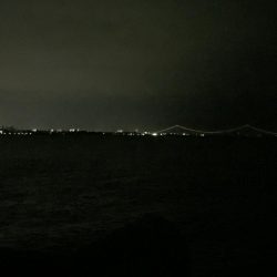 よく釣れてくれました！