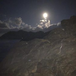 アオリ釣ったぞー