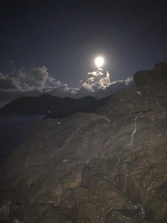 アオリ釣ったぞー