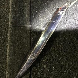 フラっと寄り道