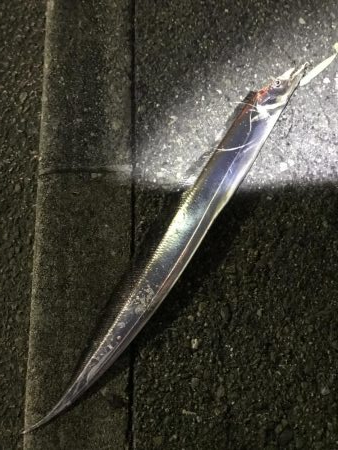 フラっと寄り道