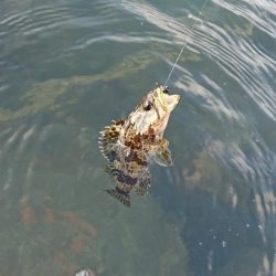 江井ヶ島漁港・江井ヶ島海岸