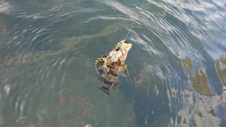 江井ヶ島漁港・江井ヶ島海岸