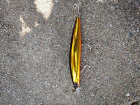 朝マズメのハマチ