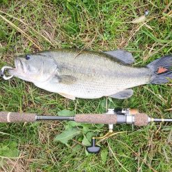 朝まで雨だったので