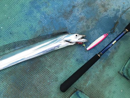 海南発の遊漁船「釣り心」さんで太刀魚ジギン…