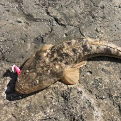 バルトの威力!!!