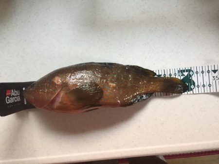 暴風　釣りにならん！