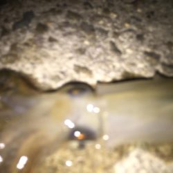 ヒイカ　アゲイン