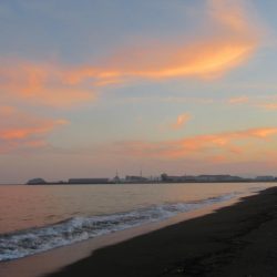 那賀川河口サーフのヒラメ
