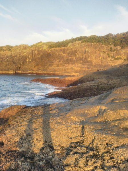 地磯でサゴシのミノー