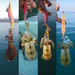 ボートエギング