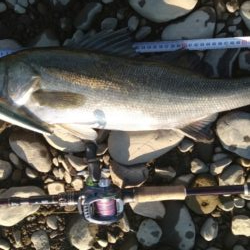 落ち鮎パターン制したり‼