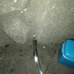 夕方からタチウオ