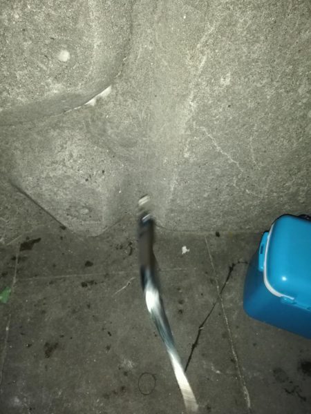 夕方からタチウオ