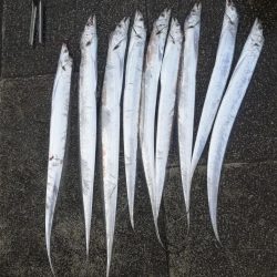 ディアルーナ対空砲