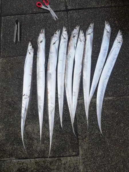 ディアルーナ対空砲