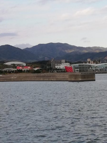 港内でキス狙い