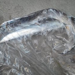 ３度目の挑戦でついにゲット！