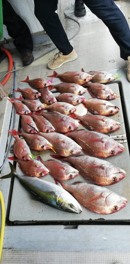 タイラバでなんとか2枚