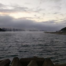 カレイ狙い投げ釣りでカワハギ