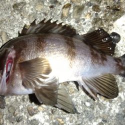 天気がいいので