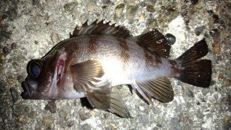 天気がいいので