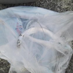 渋い中、少ない当たりをモノにしました!