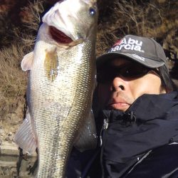 バスはシャローにもディープにも居ます…