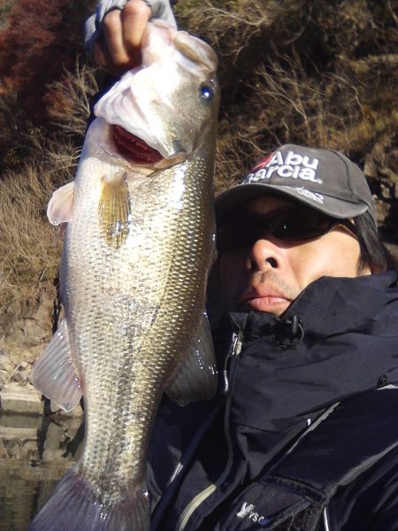 バスはシャローにもディープにも居ます…