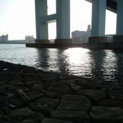 評判の釣り場見学