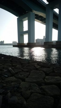 評判の釣り場見学